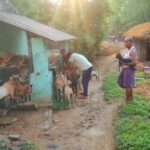 SAVE_20250710_163944